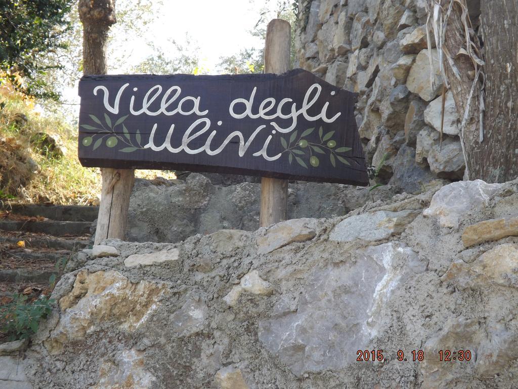 Appartamento Villa Degli Ulivi Sant’Agnello Szoba fotó