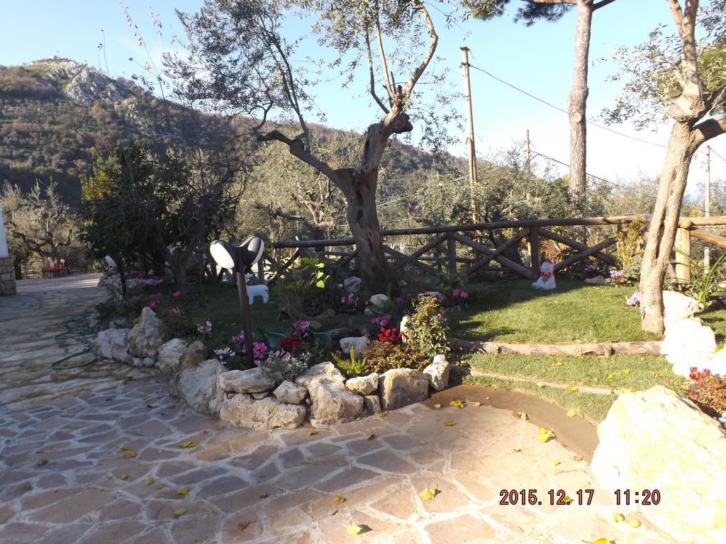 Appartamento Villa Degli Ulivi Sant’Agnello Kültér fotó