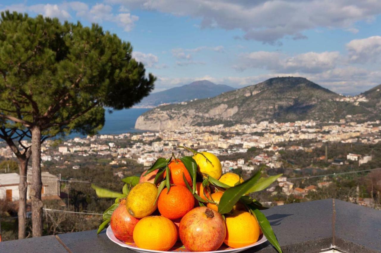 Appartamento Villa Degli Ulivi Sant’Agnello Kültér fotó